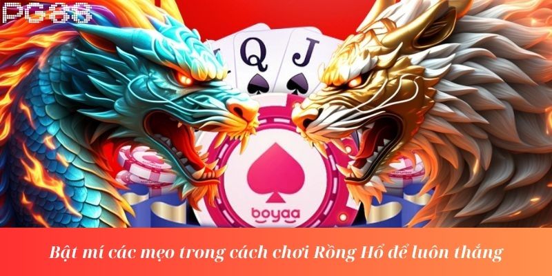 Bật mí các mẹo trong cách chơi Rồng Hổ để luôn thắng